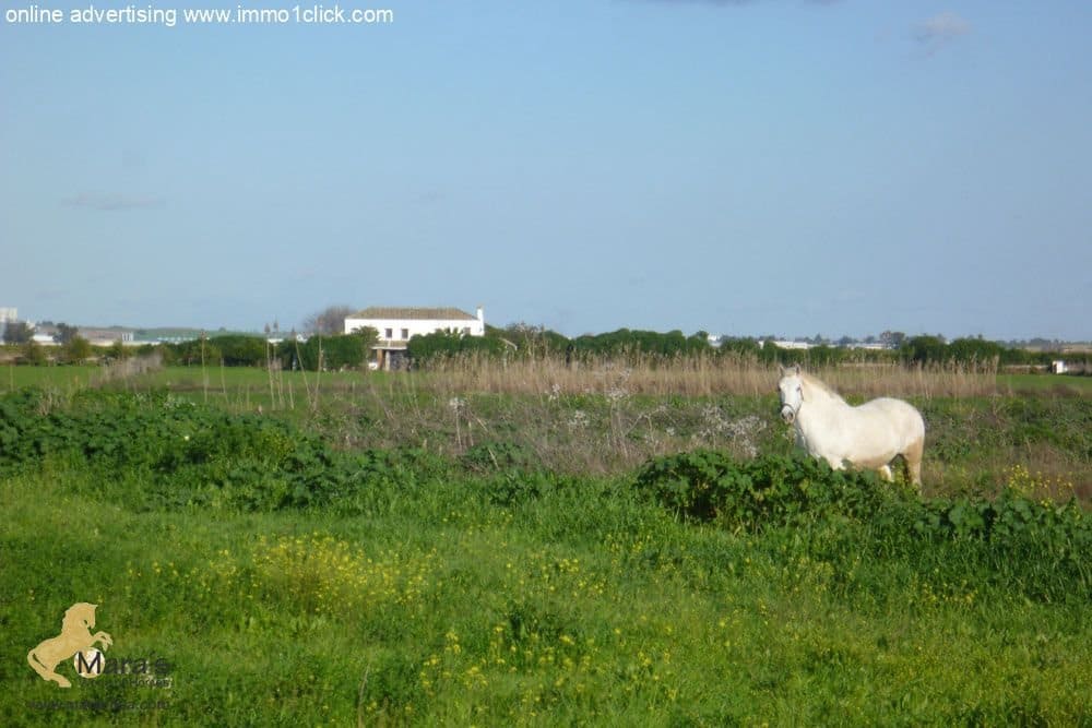 6 soveværelse Finca/Landehus til salg i Coria del Rio med swimmingpool - € 1.300.000 (Ref: 4956443)