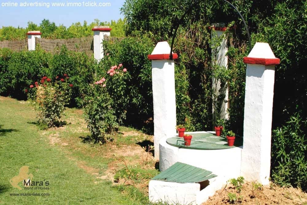 6 soveværelse Finca/Landehus til salg i Coria del Rio med swimmingpool - € 1.300.000 (Ref: 4956443)