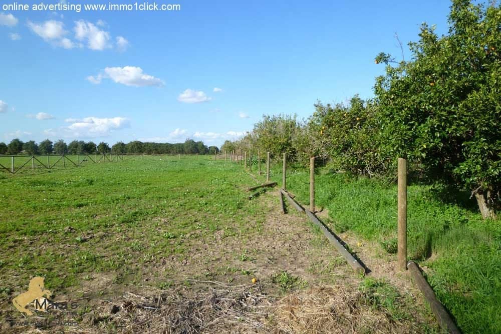 6 soveværelse Finca/Landehus til salg i Coria del Rio med swimmingpool - € 1.300.000 (Ref: 4956443)