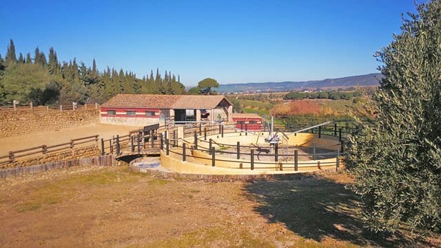 4 Zimmer Finca/Landgut zu verkaufen in Arcos de la Frontera mit Pool - 999.000 € (Ref: 6681205)