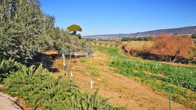 4 Zimmer Finca/Landgut zu verkaufen in Arcos de la Frontera mit Pool - 999.000 € (Ref: 6681205)