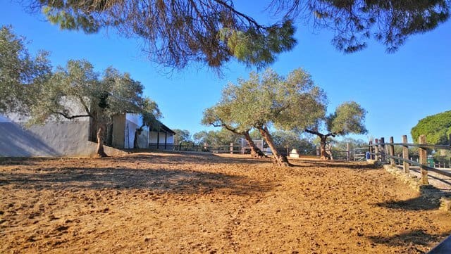 4 Zimmer Finca/Landgut zu verkaufen in Arcos de la Frontera mit Pool - 999.000 € (Ref: 6681205)