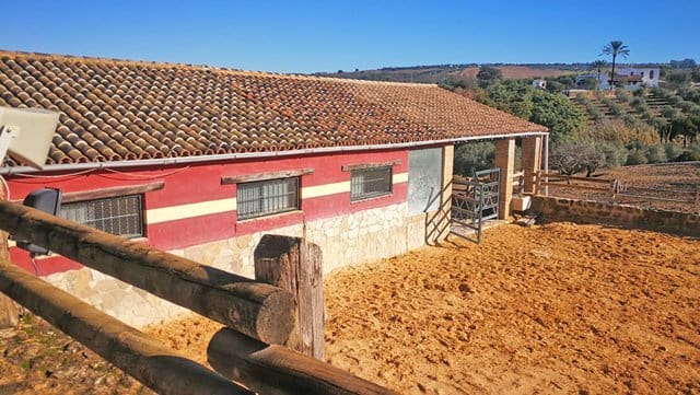 4 Zimmer Finca/Landgut zu verkaufen in Arcos de la Frontera mit Pool - 999.000 € (Ref: 6681205)
