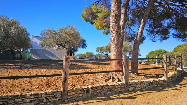 4 Zimmer Finca/Landgut zu verkaufen in Arcos de la Frontera mit Pool - 999.000 € (Ref: 6681205)