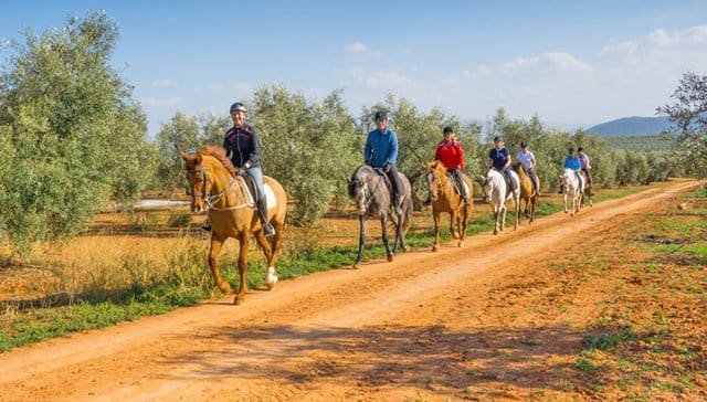 20 soveværelse Finca/Landehus til salg i Antequera - € 2.500.000 (Ref: 6796669)