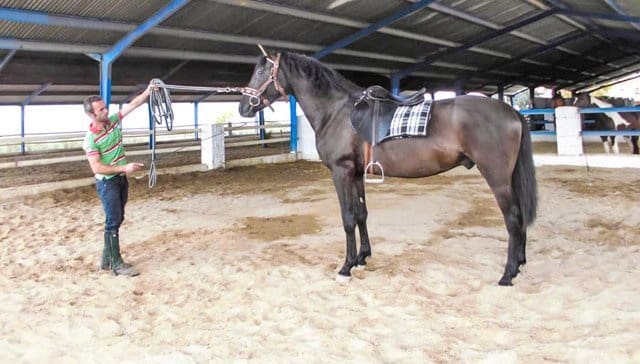 20 sypialnia Finka/Dom wiejski na sprzedaż w Antequera - 2 500 000 € (Ref: 6796669)