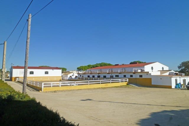 5 soveværelse Finca/Landehus til salg i Chiclana de la Frontera med swimmingpool - € 2.500.000 (Ref: 7290883)