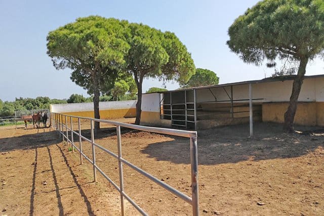 5 soveværelse Finca/Landehus til salg i Chiclana de la Frontera med swimmingpool - € 2.500.000 (Ref: 7290883)