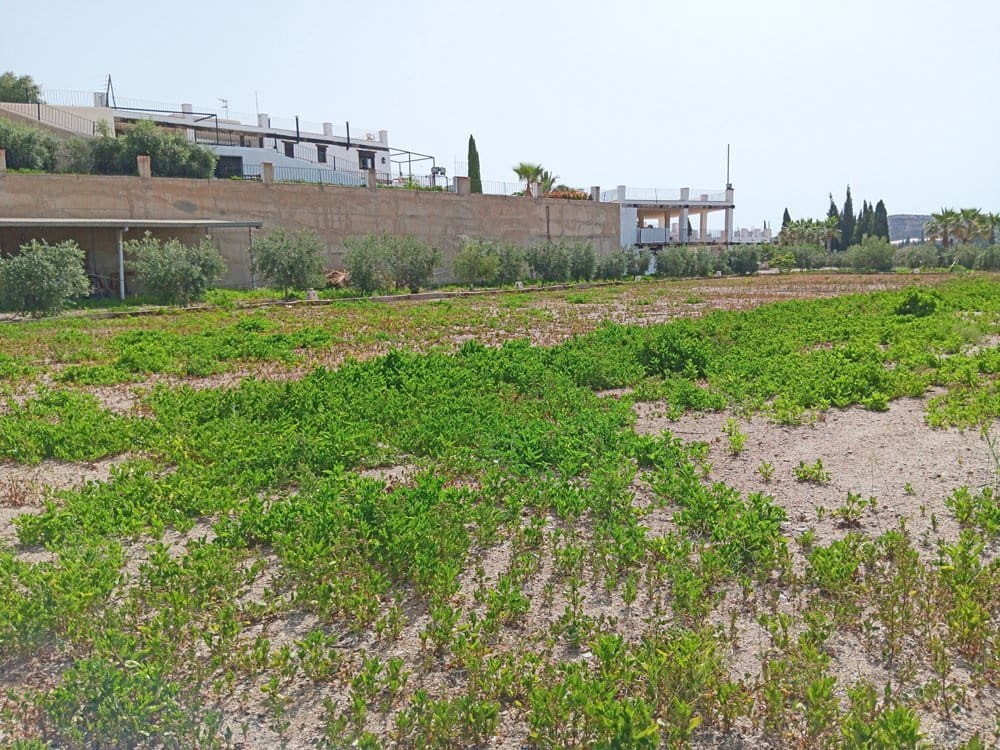 8 soverom Finca/Herregård til salgs i Aguilas - € 850 000 (Ref: 7763561)