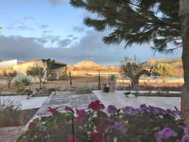 6 Zimmer Finca/Landgut zu verkaufen in Ricote mit Pool - 765.000 € (Ref: 7777220)