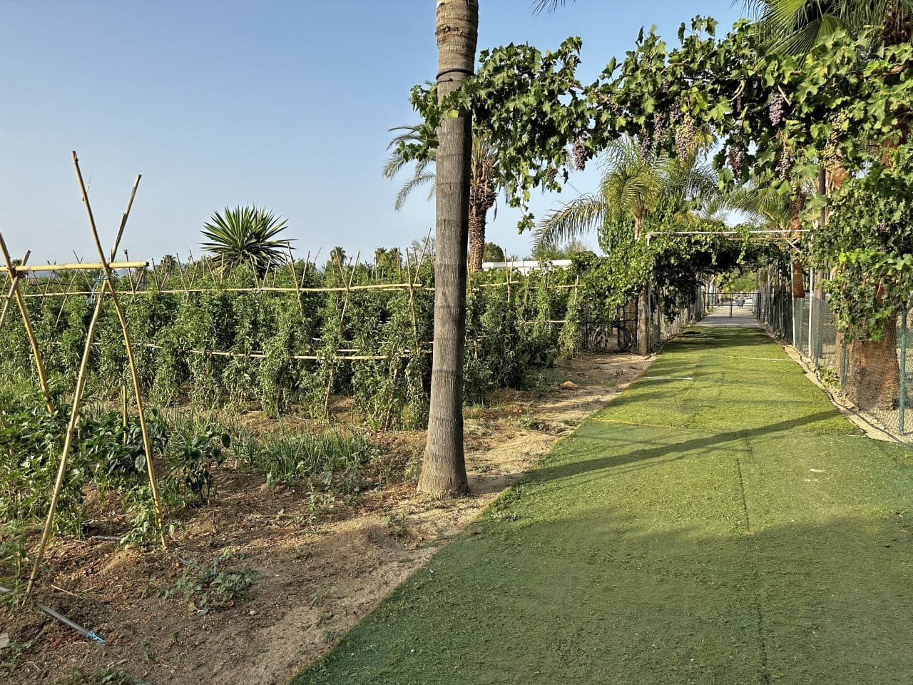 6 sypialnia Finka/Dom wiejski na sprzedaż w Miasto Malaga - 1 600 000 € (Ref: 7796765)