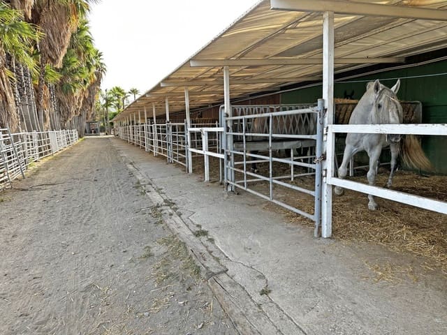 6 soveværelse Finca/Landehus til salg i Las Chapas, Málaga by - € 1.600.000 (Ref: 7796765)