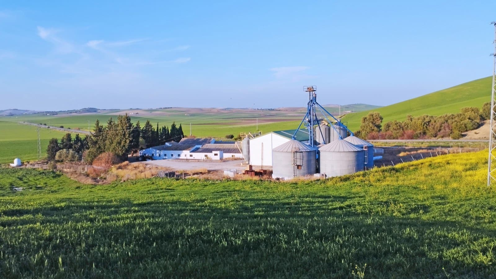 Finca/Landehus til salg i Bornos med swimmingpool - € 780.000 (Ref: 8325031)