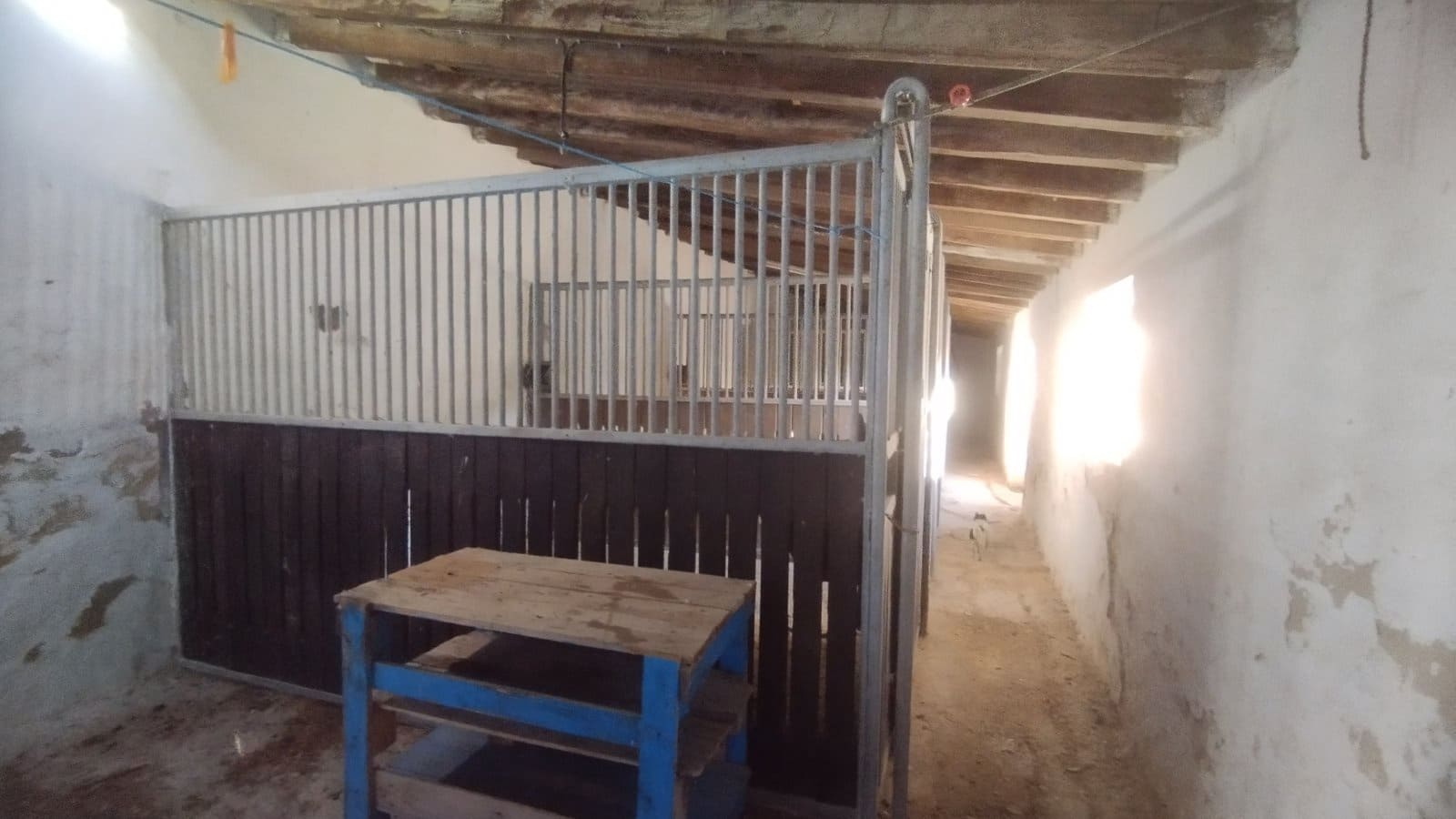 Finca/Landehus til salg i Bornos med swimmingpool - € 780.000 (Ref: 8325031)