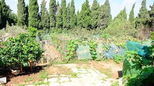 4 soveværelse Finca/Landehus til salg i Chiclana de la Frontera med swimmingpool - € 450.000 (Ref: 8477036)