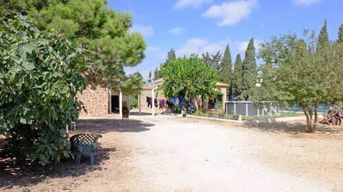 4 Zimmer Finca/Landgut zu verkaufen in Chiclana de la Frontera mit Pool - 410.000 € (Ref: 8477036)