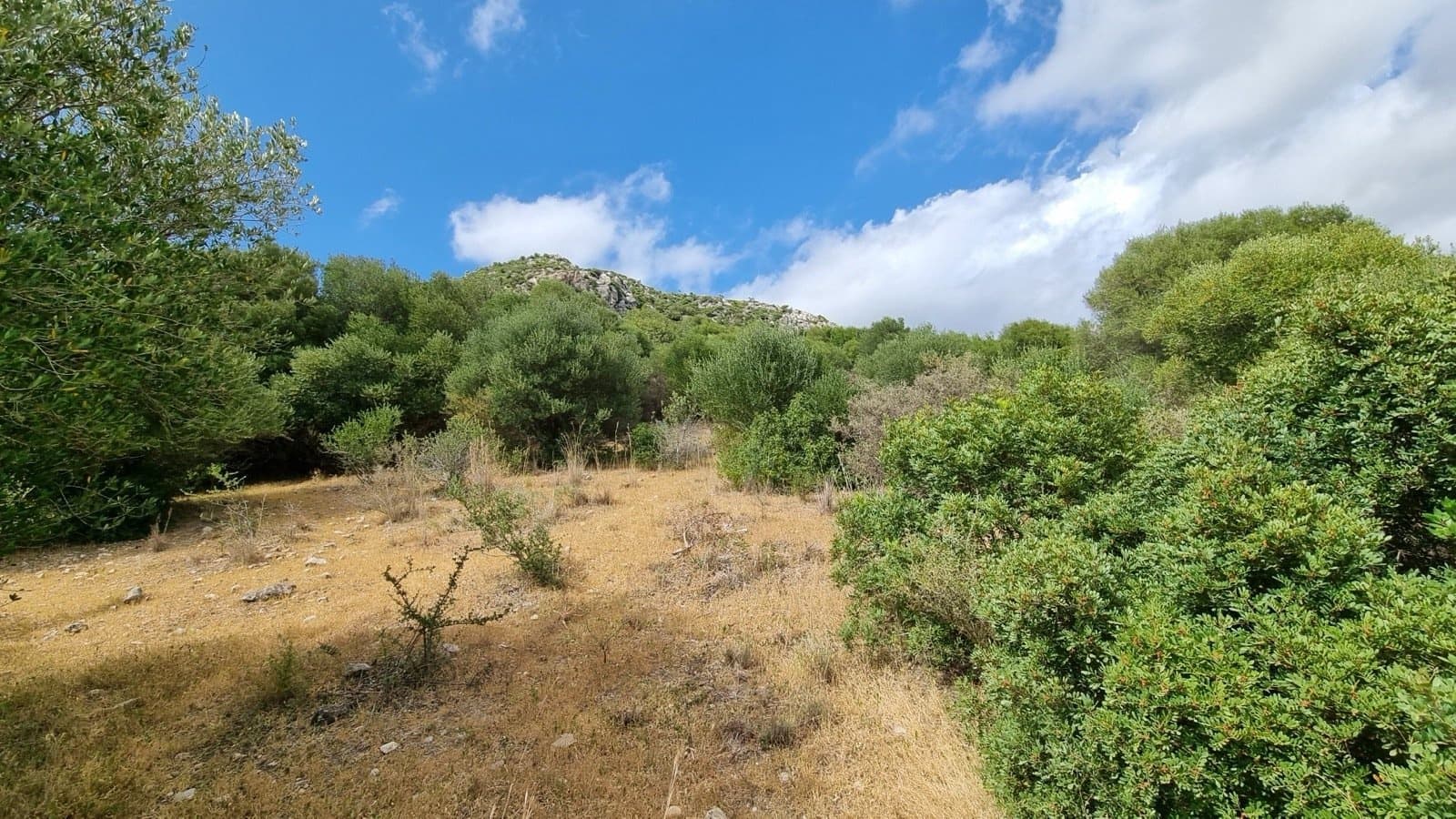 Grunde uden byggetilladelser til salg i Casares - € 290.000 (Ref: 8637162)