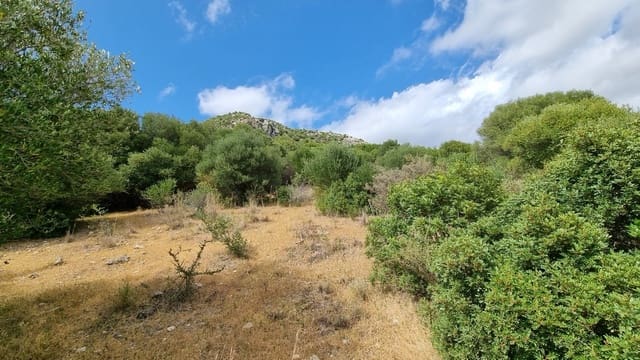 Ubebygd land til salgs i Casares Pueblo, Casares - € 290 000 (Ref: 8637162)
