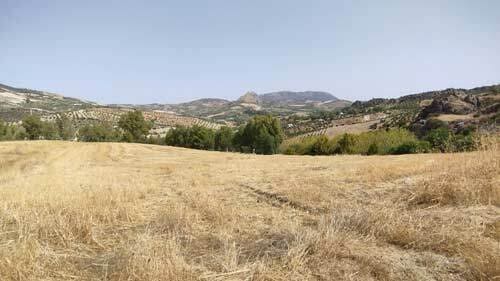 3 soveværelse Finca/Landehus til salg i Olvera - € 1.500.000 (Ref: 8684276)