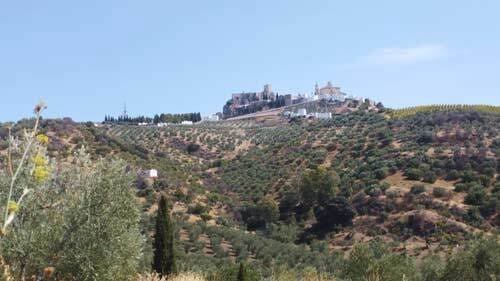 3 soveværelse Finca/Landehus til salg i Olvera - € 1.500.000 (Ref: 8684276)