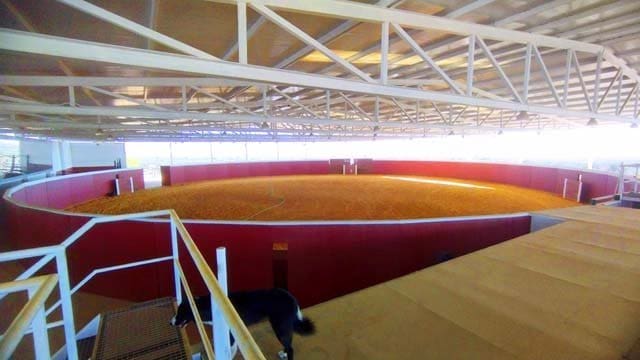 6 soveværelse Finca/Landehus til salg i Paterna del Campo - € 1.290.000 (Ref: 8841377)