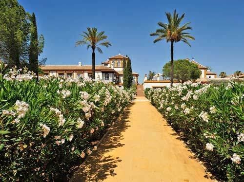 25 bedroom Finca/Country House for sale in Seville city with pool - € 12,900,000 (Ref: 8884865)