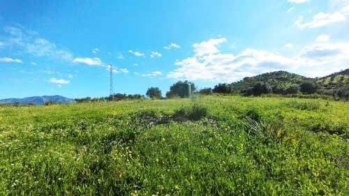 5 soveværelse Finca/Landehus til salg i Coin med swimmingpool - € 899.000 (Ref: 8903931)