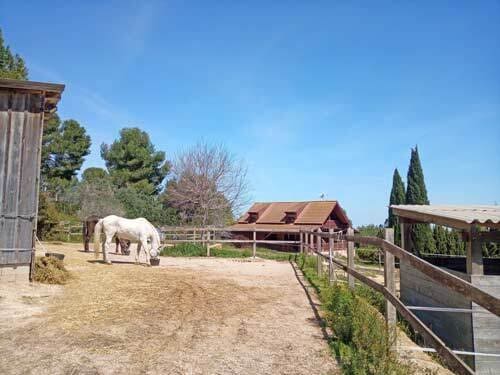 3 Zimmer Finca/Landgut zu verkaufen in Montserrat - 385.000 € (Ref: 9033729)