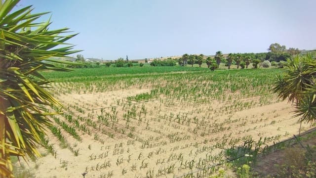 Finca/Hus på landet till salu i Arcos de la Frontera - 799 000 € (Ref: 9106739)