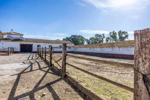9 soveværelse Finca/Landehus til salg i La Puebla de Cazalla - € 1.800.000 (Ref: 9114836)