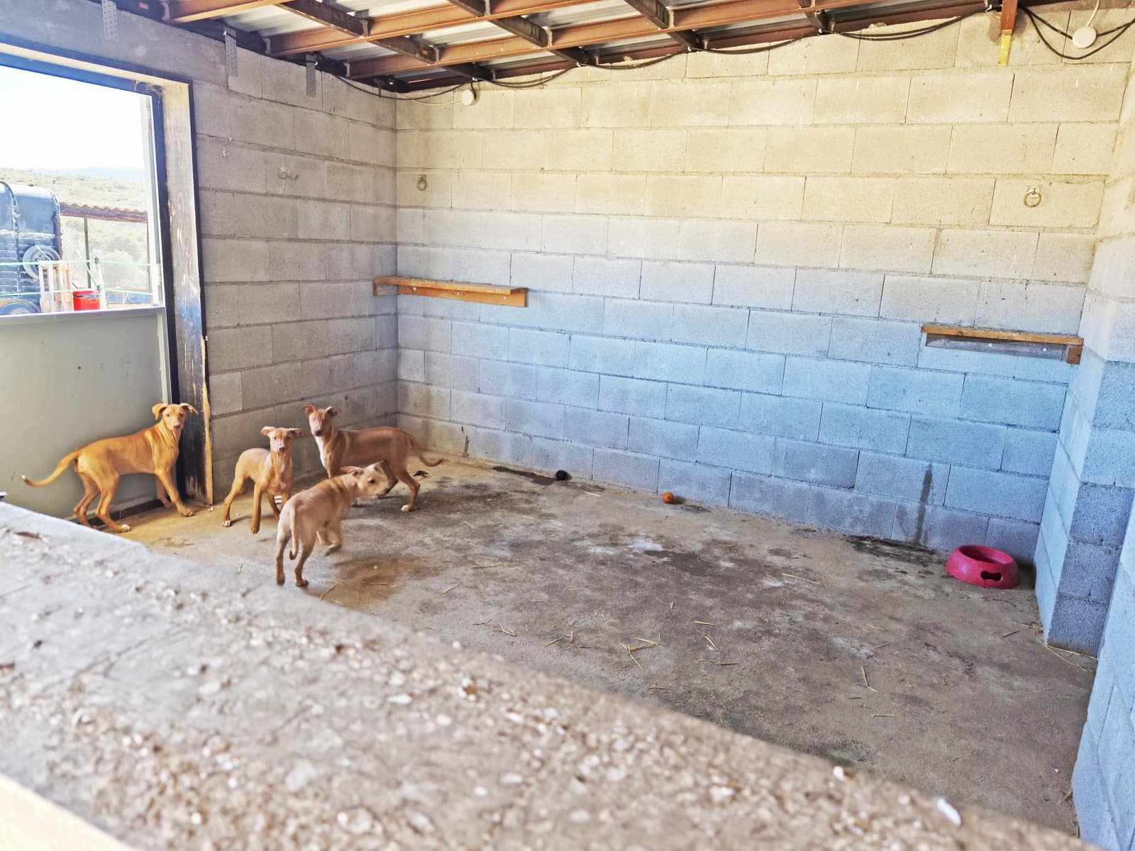 4 soveværelse Finca/Landehus til salg i Seron med swimmingpool - € 375.000 (Ref: 9393591)