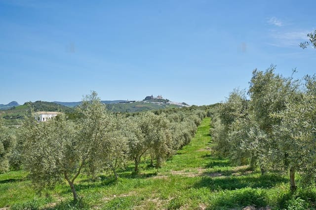 6 soverom Finca/Herregård til salgs i Olvera med svømmebasseng - € 450 000 (Ref: 9999053)