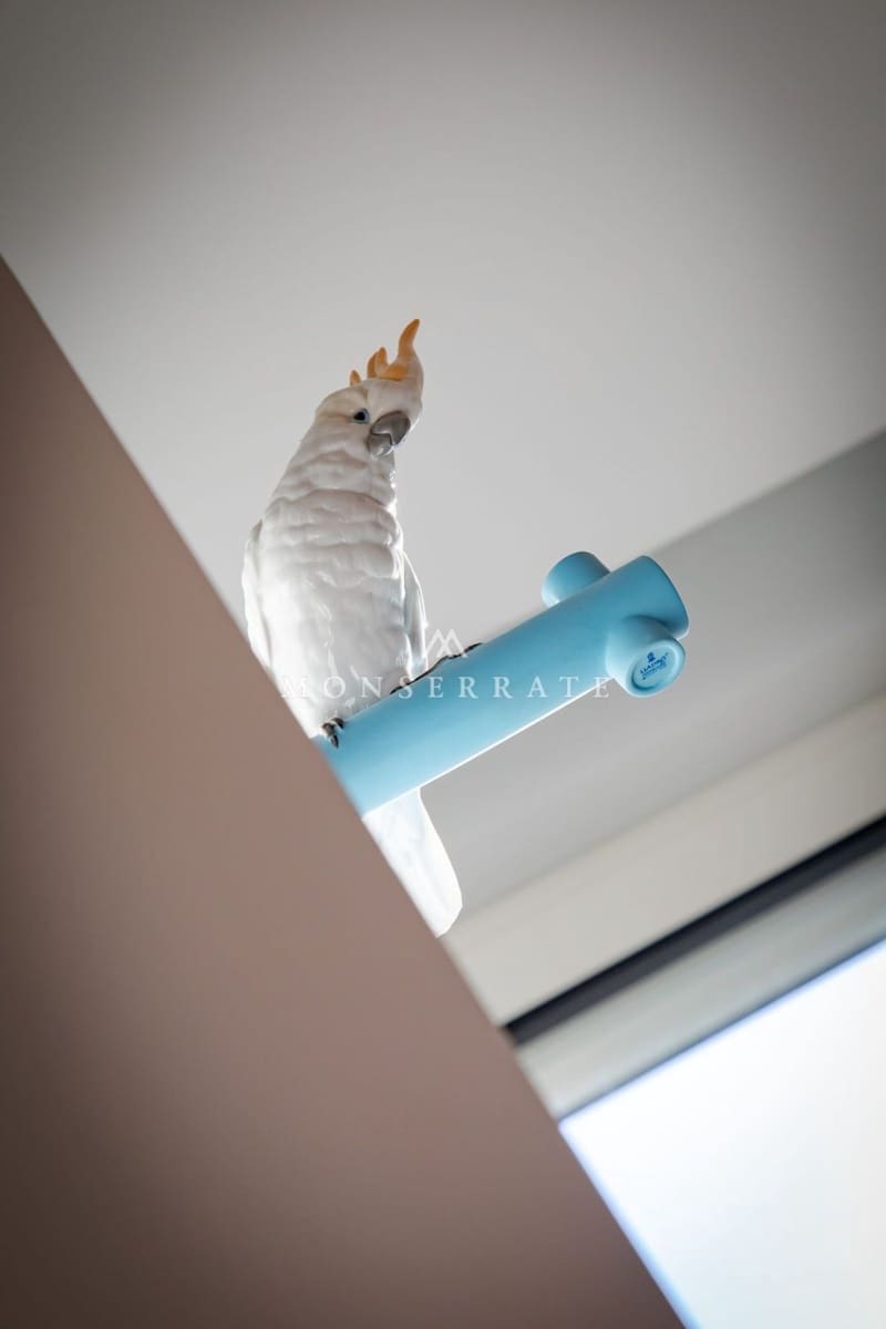 3 camera da letto Appartamento da affittare in Valencia citta con garage - 3.000 € (Rif: 9483823)