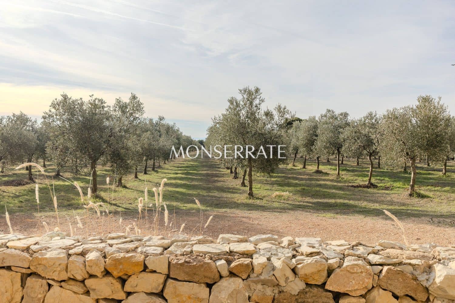6 soveværelse Finca/Landehus til salg i Requena med garage - € 1.950.000 (Ref: 9751484)