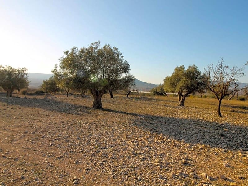 Grond te koop in Monovar / Monover - € 15.000 (Ref: 5873425)