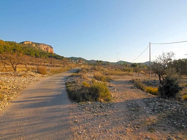 Mark till salu i Monóvar / Monóver - 15 000 € (Ref: 5873425)