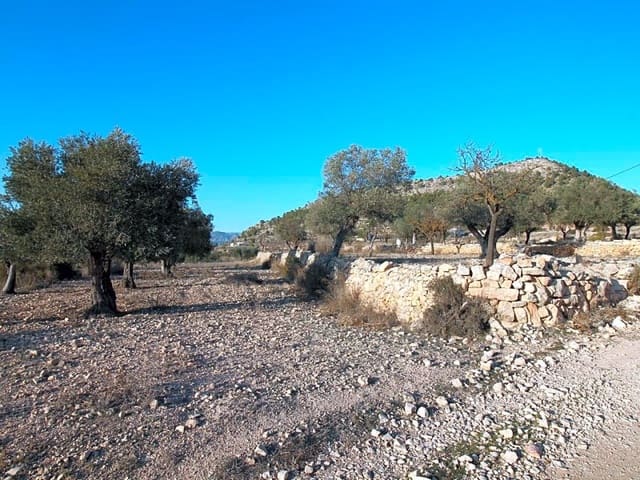 Mark till salu i Monóvar / Monóver - 15 000 € (Ref: 5873425)