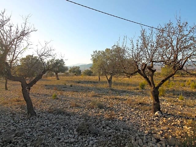 Mark till salu i Monóvar / Monóver - 15 000 € (Ref: 5873425)