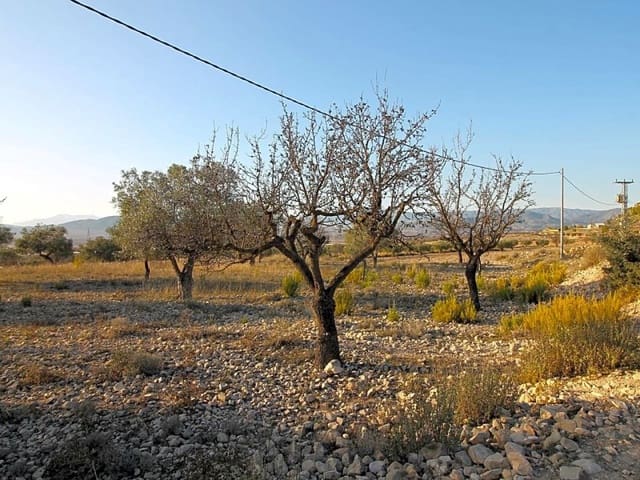 Mark till salu i Monóvar / Monóver - 15 000 € (Ref: 5873425)