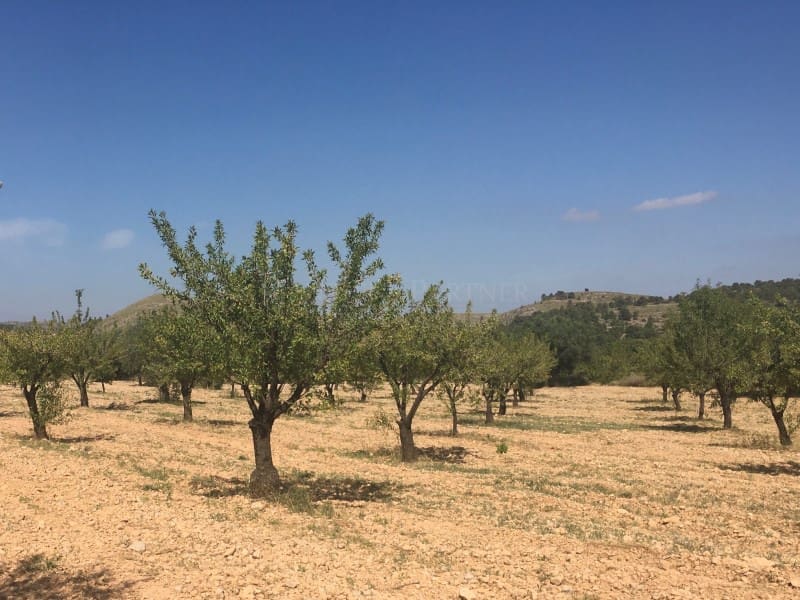 Teren niezagospodarowany na sprzedaż w La Romana - 35 000 € (Ref: 5938119)