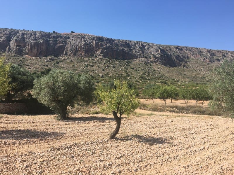 Teren niezagospodarowany na sprzedaż w La Romana - 35 000 € (Ref: 5938119)