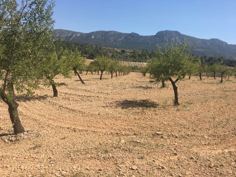 Teren niezagospodarowany na sprzedaż w La Romana - 35 000 € (Ref: 5938119)