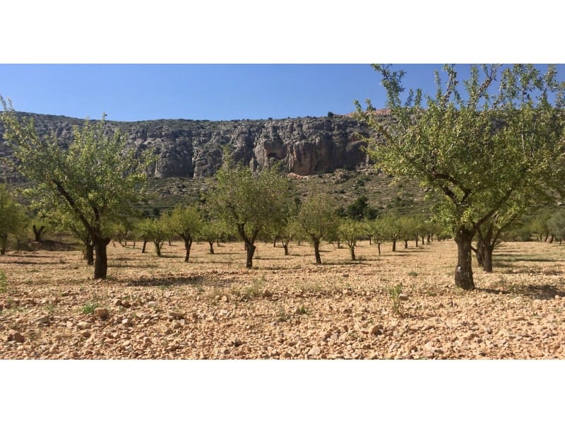 Teren niezagospodarowany na sprzedaż w La Romana - 35 000 € (Ref: 5938119)