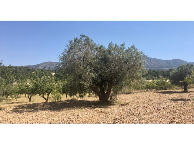 Grond te koop in La Romana - € 35.000 (Ref: 5938119)