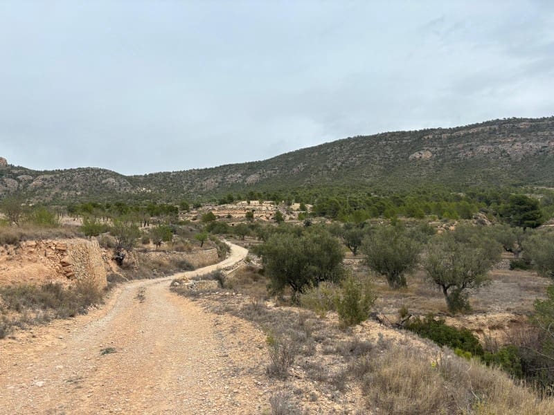 Teren niezagospodarowany na sprzedaż w La Romana - 69 500 € (Ref: 6684488)