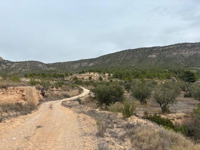 Rakentamaton maa myytävänä paikassa La Romana - 79 500 € (Ref: 6684488)