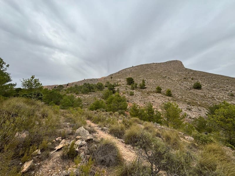 Teren niezagospodarowany na sprzedaż w La Romana - 69 500 € (Ref: 6684488)