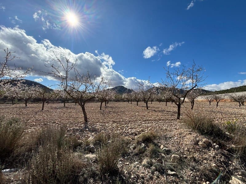 Teren niezagospodarowany na sprzedaż w La Romana - 69 500 € (Ref: 6684488)