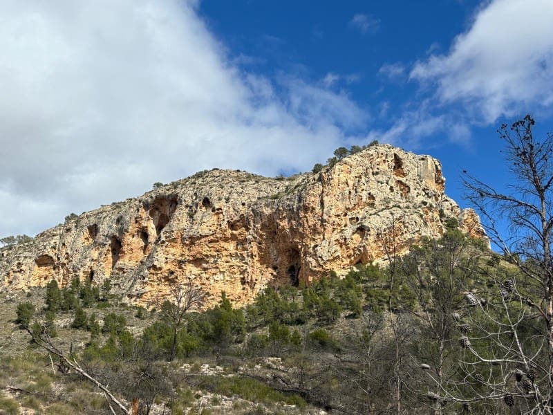 Teren niezagospodarowany na sprzedaż w La Romana - 69 500 € (Ref: 6684488)