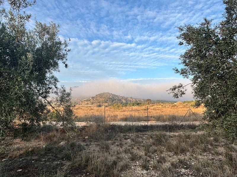 Teren niezagospodarowany na sprzedaż w La Romana - 69 500 € (Ref: 6684488)